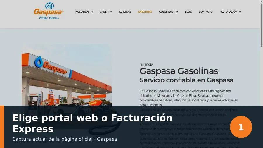 gaspasa redpacifico: acceso de marca facturacion gaspasa: Elige portal web o Facturación Express