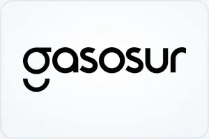 gasosur facturacion en linea logo