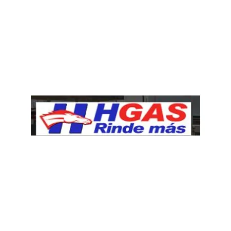 HGAS: logo para facturación h gas facturacion logo HGAS