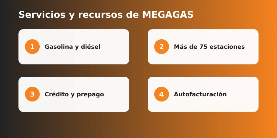 Servicios y recursos de MEGAGAS
