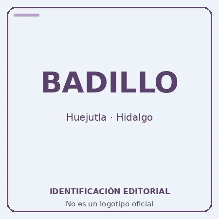 gasolinera badillo facturacion Identificación editorial de Multiservicios Badillo — Huejutla de Reyes; no es un logotipo oficial.
