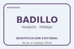 Identificación editorial de Multiservicios Badillo — Huejutla de Reyes; no es un logotipo oficial.