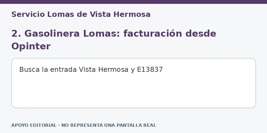 facturacion gasolinera lomas Apoyo editorial: 2. Gasolinera Lomas: facturación desde Opinter
