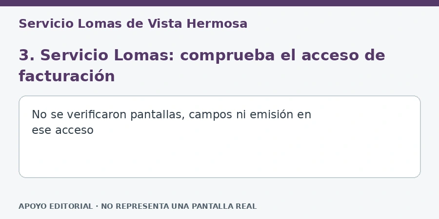 servicio lomas facturación Apoyo editorial: 3. Servicio Lomas: comprueba el acceso de facturación