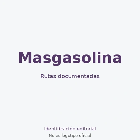 autoservicio masgasolina facturacion Identificación editorial de Autoservicio Masgasolina; no es un logotipo oficial.