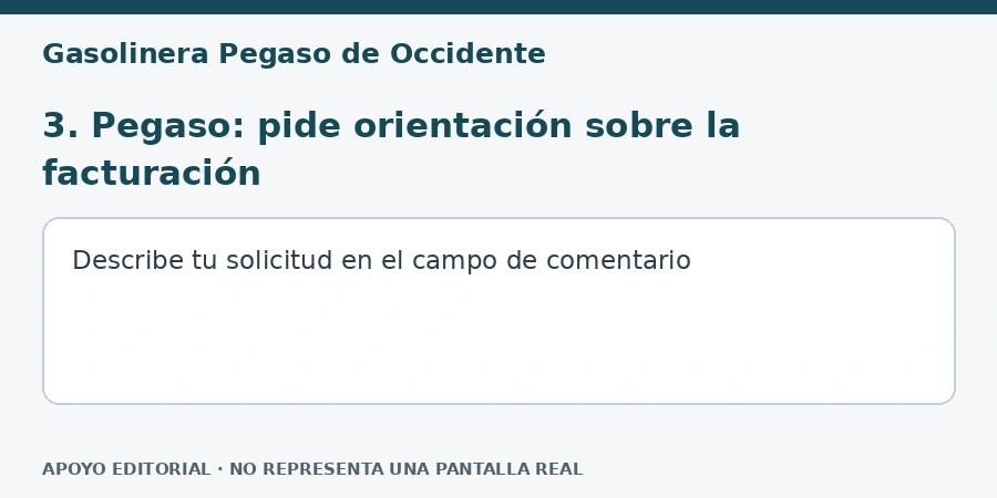 3. Pegaso: pide orientación sobre la facturación Apoyo editorial: 3. Pegaso: pide orientación sobre la facturación