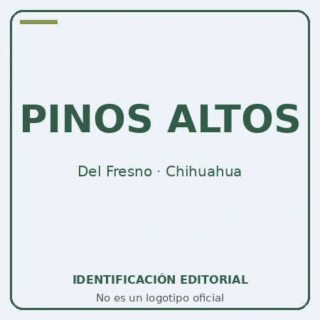 petropinosaltos facturacion Identificación editorial de Petro Pinos Altos — Combustibles Pinos Altos / Del Fresno; no es un logotipo oficial.