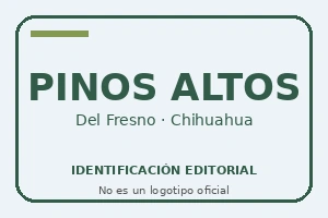 Identificación editorial de Petro Pinos Altos — Combustibles Pinos Altos / Del Fresno; no es un logotipo oficial.