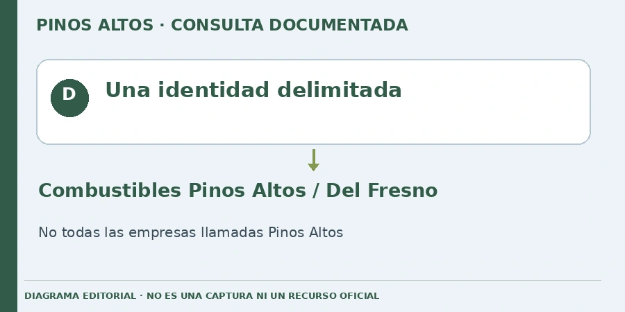 Una identidad delimitada Diagrama editorial: Una identidad delimitada. Combustibles Pinos Altos / Del Fresno. No todas las empresas llamadas Pinos Altos.